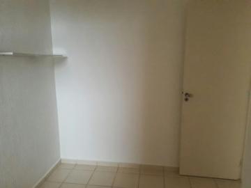Alugar Casa / Condomínio em São José do Rio Preto R$ 1.200,00 - Foto 12