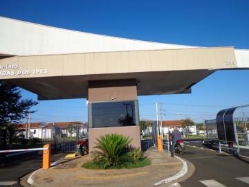 imagem 1 - Condominio Morada dos Ipês casa de 2 dormitórios imagem 1 - Condominio Morada dos Ipês casa de 2 dormitórios