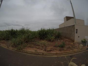 imagem 1 - Terreno - Padrão imagem 1 - Terreno - Padrão