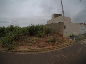 imagem 2 - Terreno - Padrão imagem 2 - Terreno - Padrão