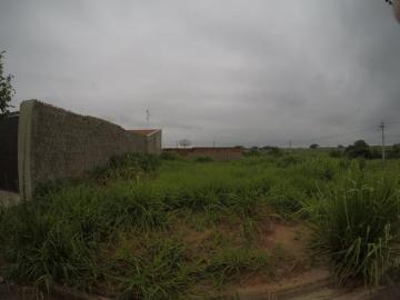 imagem 1 - Lote no Menezes 5 em Bady imagem 1 - Lote no Menezes 5 em Bady