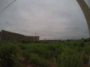 imagem 2 - Lote no Menezes 5 em Bady imagem 2 - Lote no Menezes 5 em Bady