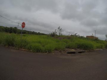 imagem 3 - Terreno - Padrão imagem 3 - Terreno - Padrão