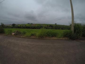 imagem 2 - Lote com 227m² em Bady imagem 2 - Lote com 227m² em Bady