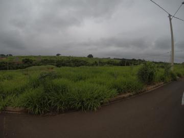 imagem 1 - Terreno em Bady Bassitt com 291.5m² imagem 1 - Terreno em Bady Bassitt com 291.5m²