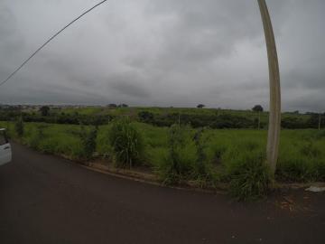 imagem 2 - Terreno em Bady Bassitt com 291.5m² imagem 2 - Terreno em Bady Bassitt com 291.5m²