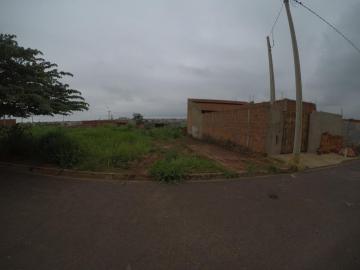 imagem 1 - Terreno - Padrão imagem 1 - Terreno - Padrão
