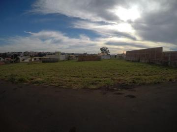 imagem 2 - Terreno - Padrão imagem 2 - Terreno - Padrão