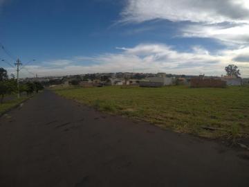 imagem 5 - Terreno - Padrão imagem 5 - Terreno - Padrão