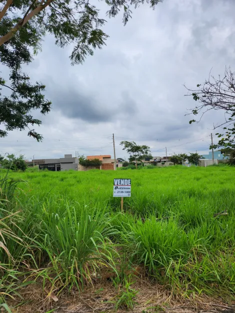 Comprar Terreno / Padrão em São José do Rio Preto R$ 90.000,00 - Foto 5