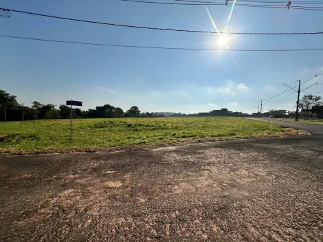 imagem 3 - Excelente Terreno de esquina em Condomínio para Venda com 5.081,14m² - Residencial Cortina D`Ampezzo imagem 3 - Excelente Terreno de esquina em Condomínio para Venda com 5.081,14m² - Residencial Cortina D`Ampezzo