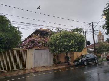 Comercial / Casa Comercial em São José do Rio Preto Alugar por R$4.000,00