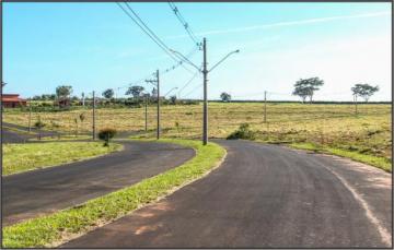 Comprar Terreno / Condomínio em São José do Rio Preto R$ 452.500,00 - Foto 16