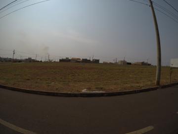 Terreno / Padrão em São José do Rio Preto 