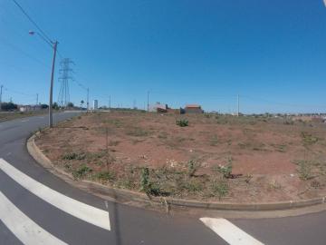 Comprar Terreno / Padrão em São José do Rio Preto R$ 378.000,00 - Foto 3