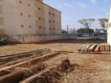 Terreno / Padrão em São José do Rio Preto 