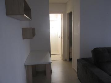 Comprar Apartamento / Studio em São José do Rio Preto R$ 350.000,00 - Foto 3