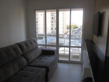 Apartamento / Studio em São José do Rio Preto 
