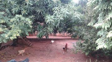 Alugar Casa / Padrão em São José do Rio Preto R$ 1.500,00 - Foto 21