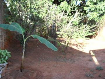 Alugar Casa / Padrão em São José do Rio Preto R$ 1.500,00 - Foto 46