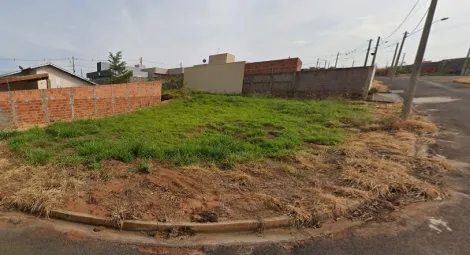 imagem 1 - Terreno de esquina em Bady Bassitt - SP imagem 1 - Terreno de esquina em Bady Bassitt - SP