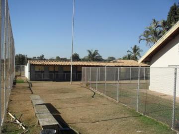 Alugar Rural / Chácara em São José do Rio Preto. apenas R$ 8.000.000,00