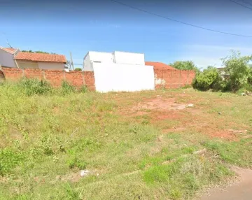 Terreno / Padrão em São José do Rio Preto 