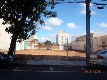 Terreno / Área em São José do Rio Preto 