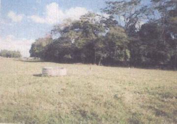 Comprar Terreno / Área em Votuporanga apenas R$ 3.500.000,00 - Foto 4