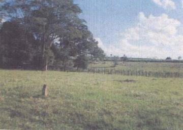Comprar Terreno / Área em Votuporanga apenas R$ 3.500.000,00 - Foto 5