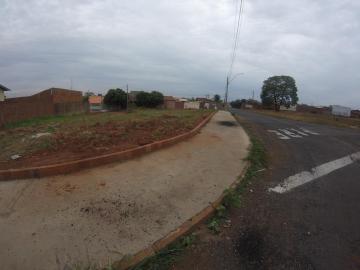 Terreno / Padrão em São José do Rio Preto 