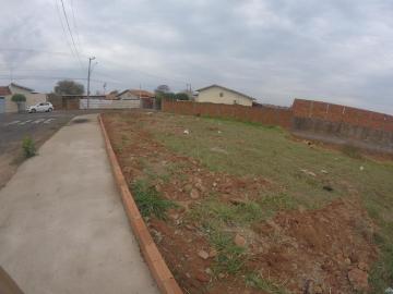 imagem 2 - Terreno - Padrão imagem 2 - Terreno - Padrão