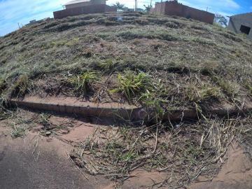 imagem 3 - Lote 220m² em Bady Bassitt imagem 3 - Lote 220m² em Bady Bassitt