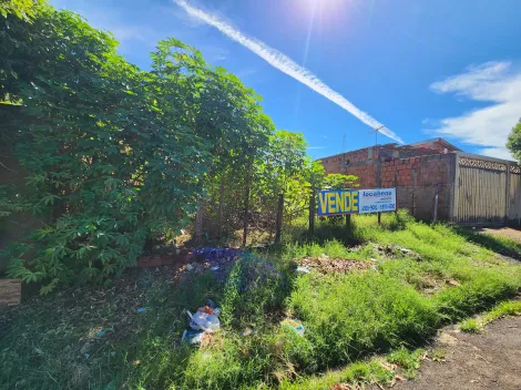 Comprar Terreno / Padrão em São José do Rio Preto R$ 100.000,00 - Foto 2