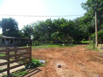 Comprar Rural / Sítio em São José do Rio Preto R$ 2.500.000,00 - Foto 46