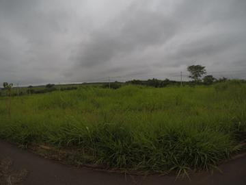 imagem 1 - Terreno 11x20 em Bady Bassitt imagem 1 - Terreno 11x20 em Bady Bassitt