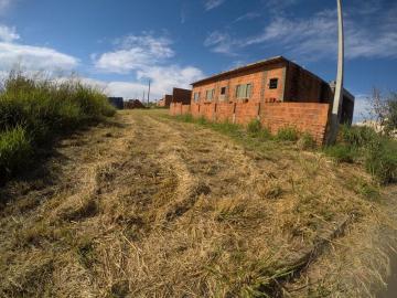 Terreno / Padrão em Bady Bassitt 