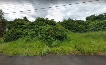 Terreno / Padrão em São José do Rio Preto 