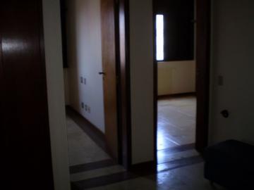 Alugar Apartamento / Cobertura em São José do Rio Preto R$ 2.000,00 - Foto 31