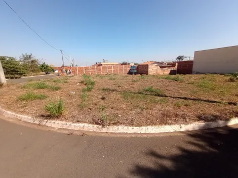 Palestina Jardim do Bosque I Terreno Venda R$87.000,00  Area do terreno 218.83m2 