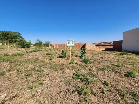 Palestina Jardim do Bosque I Terreno Venda R$87.000,00  Area do terreno 219.68m2 