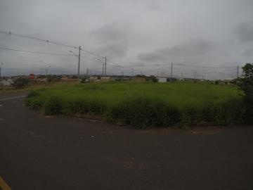 imagem 2 - Terreno - Padrão imagem 2 - Terreno - Padrão
