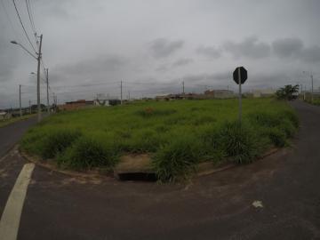imagem 5 - Terreno - Padrão imagem 5 - Terreno - Padrão