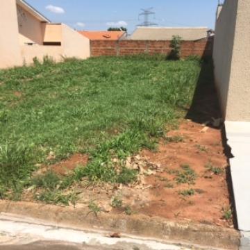 Comprar Terreno / Padrão em Bady Bassitt R$ 120.000,00 - Foto 1