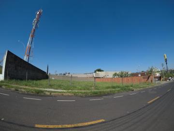 SAO JOSE DO RIO PRETO Jardim Yolanda Area Locacao R$ 15.000,00 Area do terreno 1086.60m2 SAO JOSE DO RIO PRETO Jardim Yolanda Area Locacao R$ 15.000,00 Area do terreno 1086.60m2