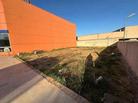 Alugar Terreno / Área em São José do Rio Preto apenas R$ 18.000,00 - Foto 3