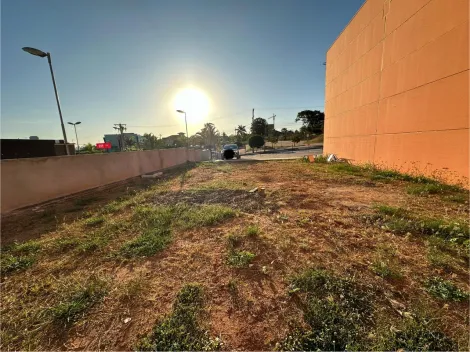 Alugar Terreno / Área em São José do Rio Preto apenas R$ 18.000,00 - Foto 1