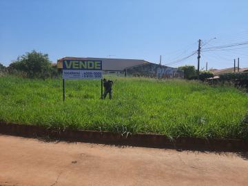 Comprar Terreno / Padrão em São José do Rio Preto R$ 265.000,00 - Foto 4