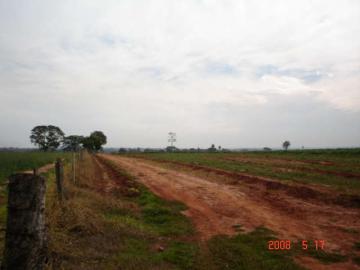 Comprar Rural / Sítio em Ipiguá R$ 2.500.000,00 - Foto 14