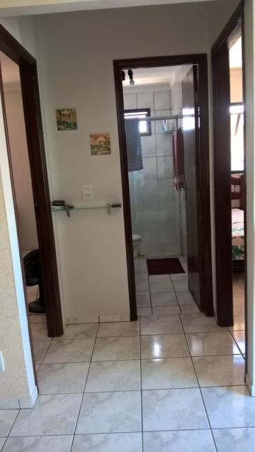 Comprar Apartamento / Padrão em São José do Rio Preto apenas R$ 420.000,00 - Foto 32